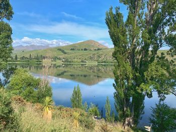 Scenic view of lake by trees against sky