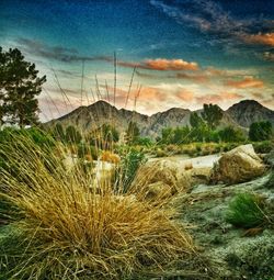 Scenic view of landscape against cloudy sky