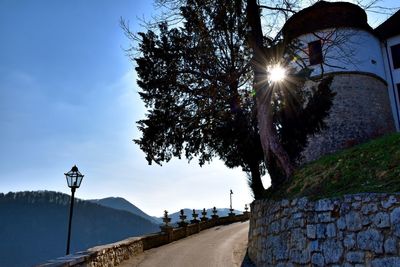 Street light by tree against sky