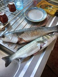 High angle view of fish on table