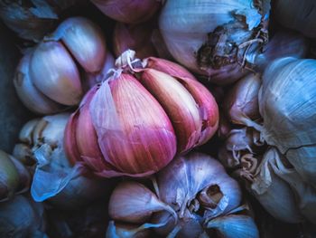 Full frame shot of onions