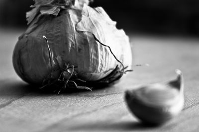 Close-up of food on table