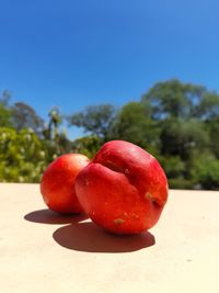 Low angle view of fruit against sky