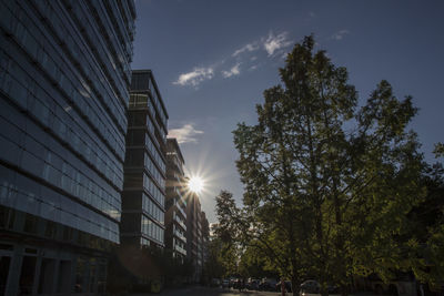 Low angle view of trees against sky in city