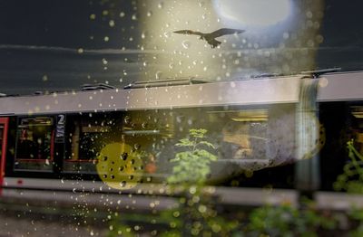 Wet glass window of rainy season