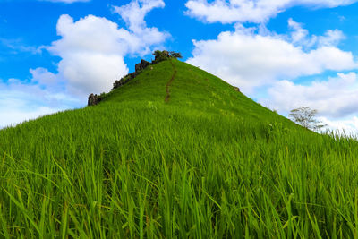 Low angle view of green landscape against sky