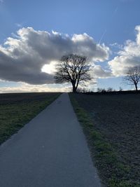 Road by bare trees on field against sky