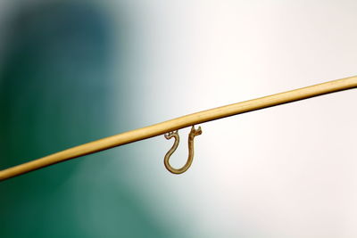 Low angle view of metal hanging on rope against sky