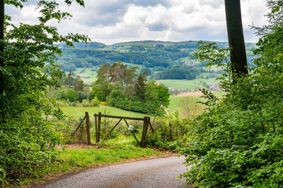 Road amidst trees in forest against sky