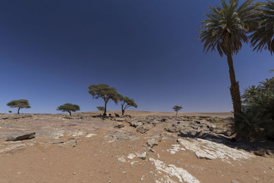 Scenic view of desert against clear sky