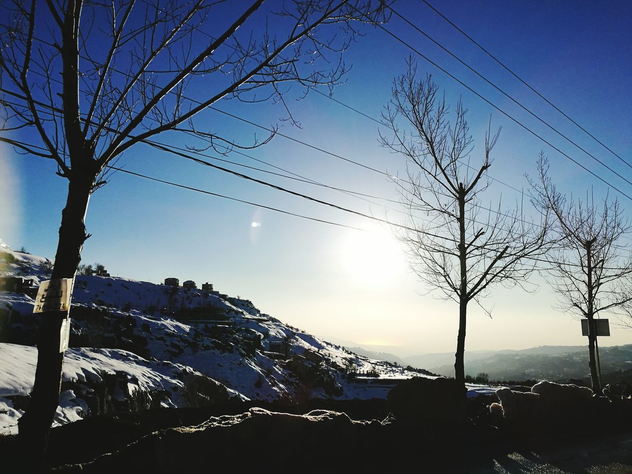 sky, sun, sunlight, nature, sunset, blue, beauty in nature, no people, tree, outdoors, tranquility, low angle view, sunbeam, silhouette, scenics, close-up, day