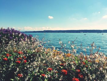 Scenic view of sea against sky