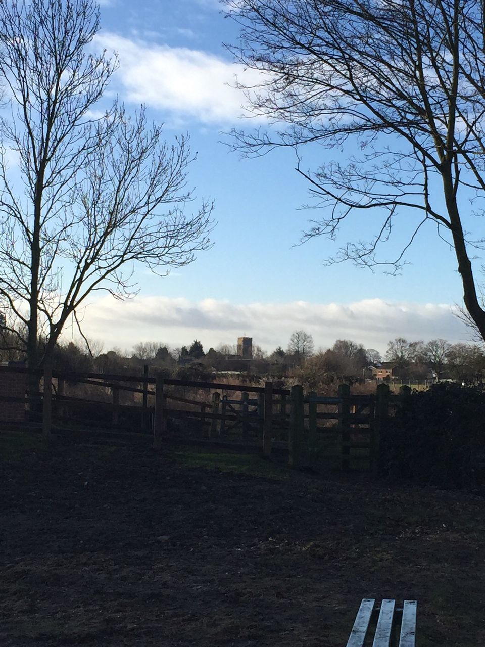 bare tree, tree, sky, tranquility, branch, tranquil scene, landscape, cloud - sky, field, scenics, nature, fence, cloud, beauty in nature, grass, built structure, no people, outdoors, day, non-urban scene