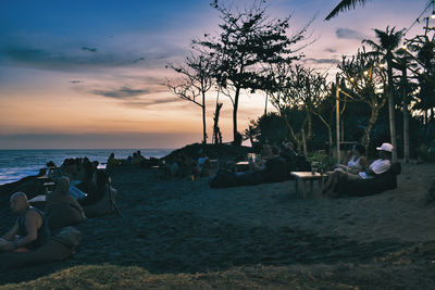 Beach palms and a small bar