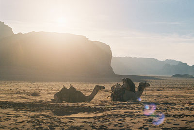 Scenic view of sea and rocks against sky