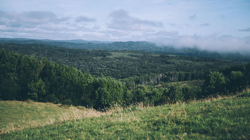 Scenic view of field against sky