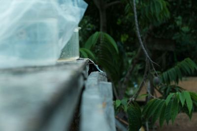 Close-up of statue on glass bottle