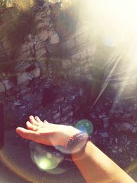 Young woman looking at camera