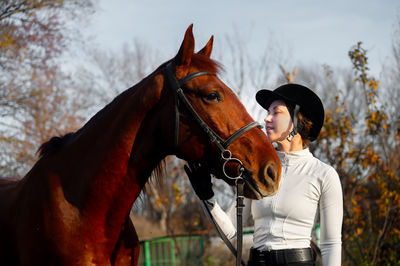 Close-up of horse standing outdoors