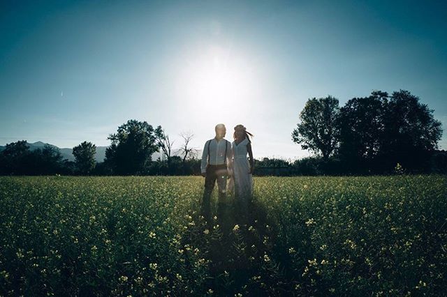 field, grass, landscape, tranquility, tranquil scene, rural scene, tree, grassy, beauty in nature, nature, clear sky, growth, sky, scenics, sunlight, agriculture, lifestyles, rear view