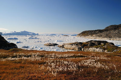 Scenic view of sea against clear sky