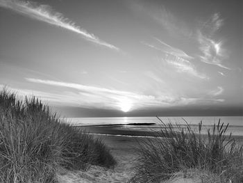 Scenic view of sea at sunset