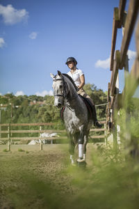 Man riding horse on field