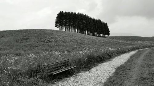 Trees on field against cloudy sky