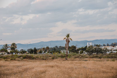 Man standing on field against sky