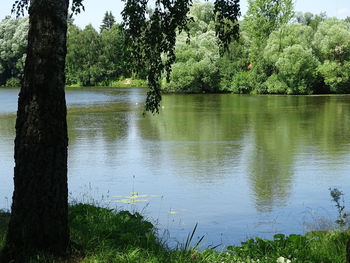 Scenic view of lake by trees