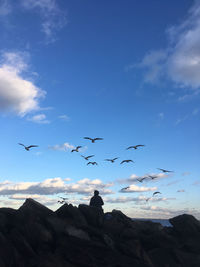 Low angle view of seagulls flying over rocks against blue sky