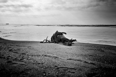 Man sitting on shore at beach against sky