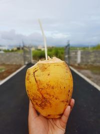 Close-up of hand coconut over road against sky