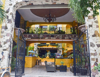 Potted plants outside building