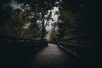 View of footbridge in forest