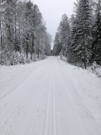 Snow covered road amidst trees during winter