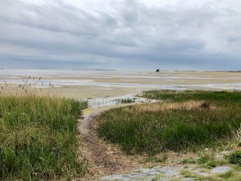 Scenic view of beach against sky