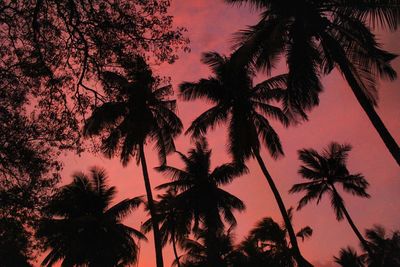 Silhouette palm trees against sky during sunset