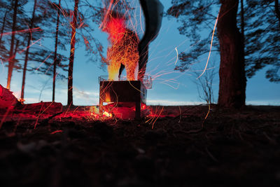 Low angle view of bonfire on field against trees in forest