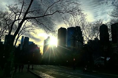 Sun shining through trees in city