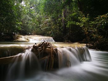 Scenic view of waterfall in forest