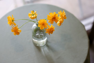 Close-up of flower