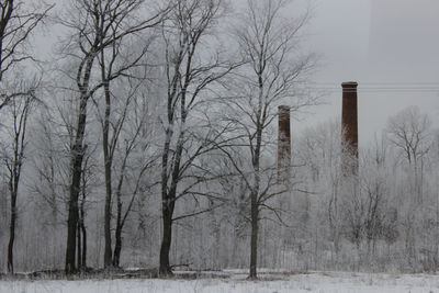 Bare trees on snow covered landscape