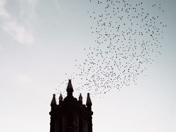 Low angle view of birds flying against sky