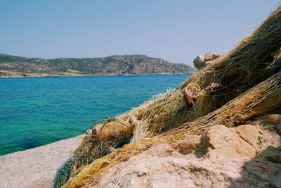 Scenic view of sea against clear sky