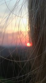 Close-up of silhouette woman against sky during sunset