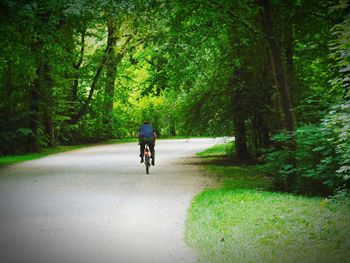 Rear view of man riding bicycle on road