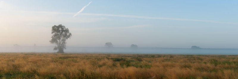 Scenic view of landscape against sky