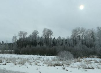 Trees on field against sky during winter