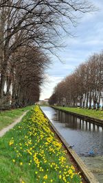 Scenic view of canal amidst field against sky